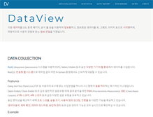 Tablet Screenshot of dataview.co.kr